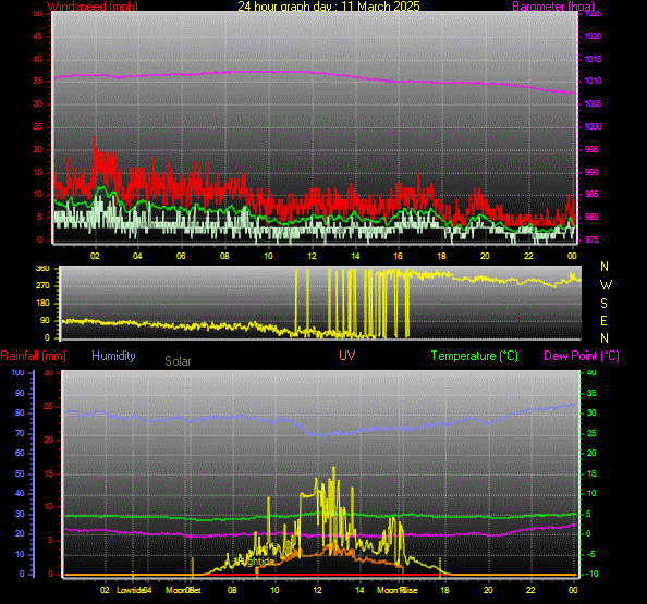 24 Hour Graph for Day 11